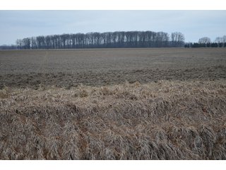 Property photo 2 - 175 Acres Offered in 5 Tracts - Tontogany, Ohio Farm Land Auction
